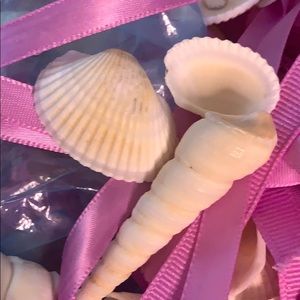 Bag of seashells